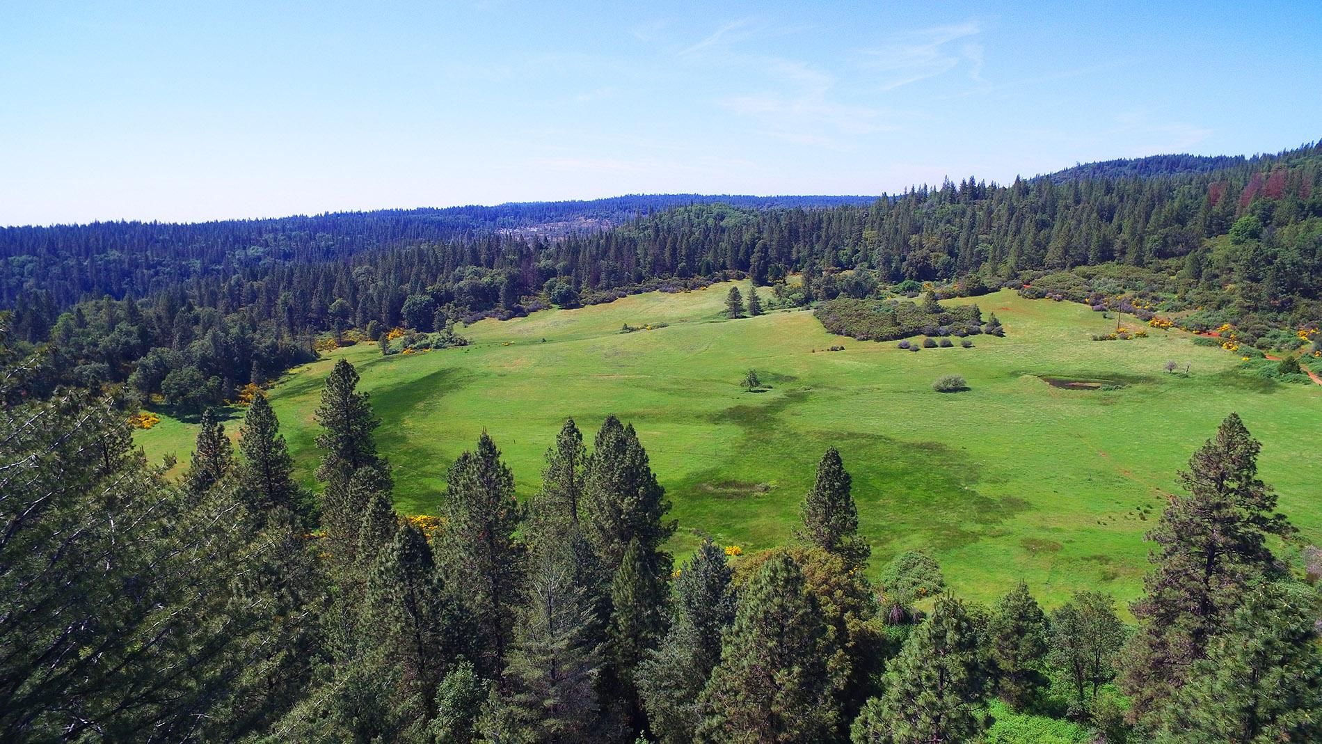 Garden Valley, El Dorado County, CA Farms and Ranches for sale Property