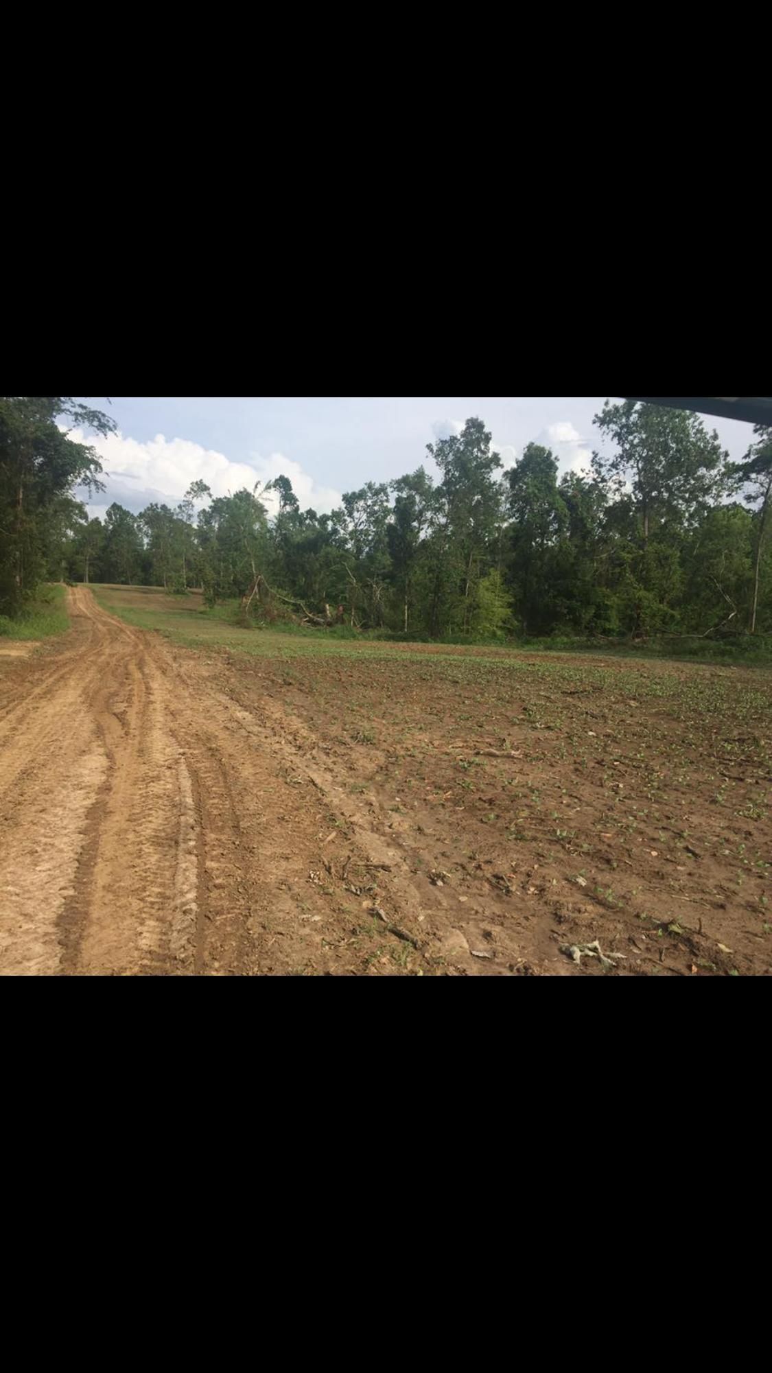 2792 Noble Swamp Road, Lorman, MS 39096 LandWatch