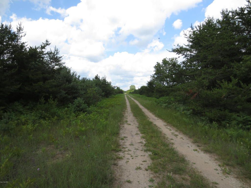 Kaleva, Manistee County, MI Undeveloped Land for sale Property ID