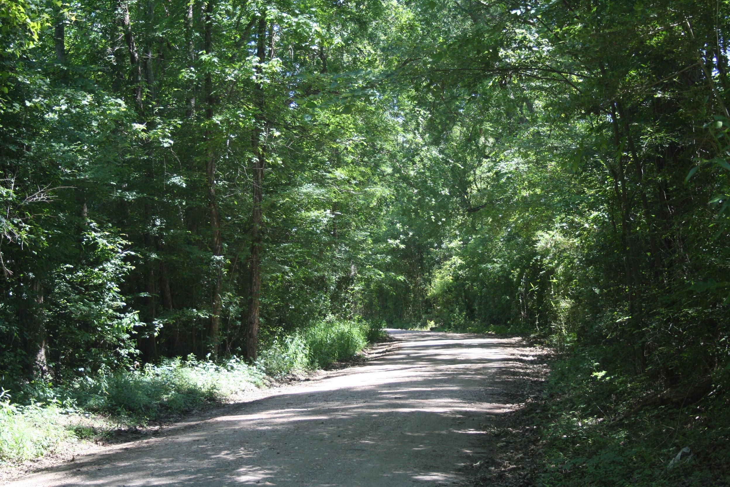 Colmesneil, Tyler County, TX Recreational Property, Undeveloped Land