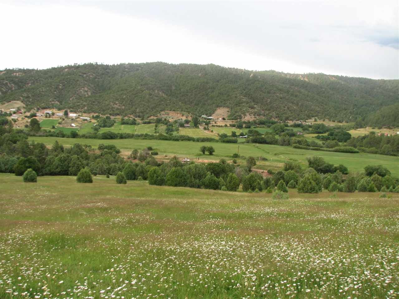 El Valle, Taos County, NM Undeveloped Land for sale Property ID