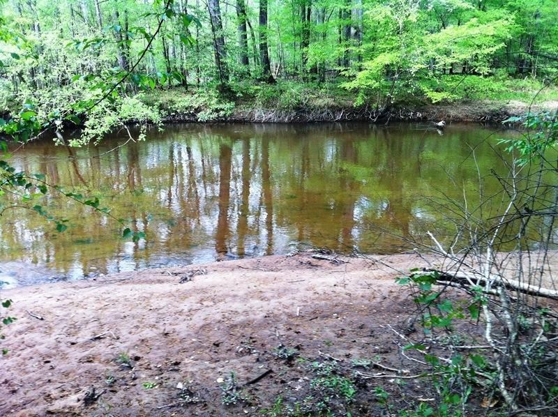 Walker Springs, Clarke County, AL Recreational Property, Timberland
