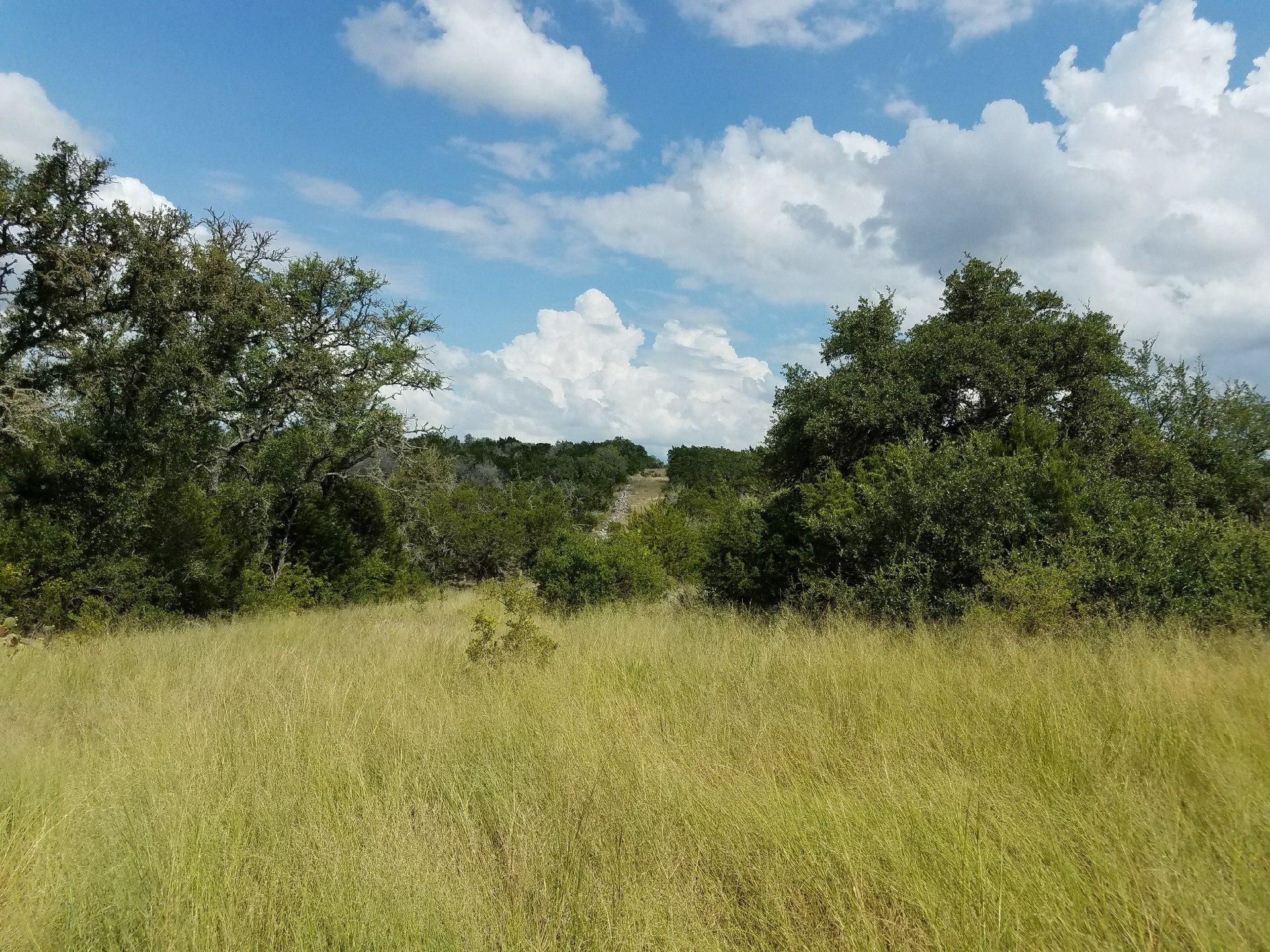 Tarpley, Medina County, TX Farms and Ranches, Recreational Property