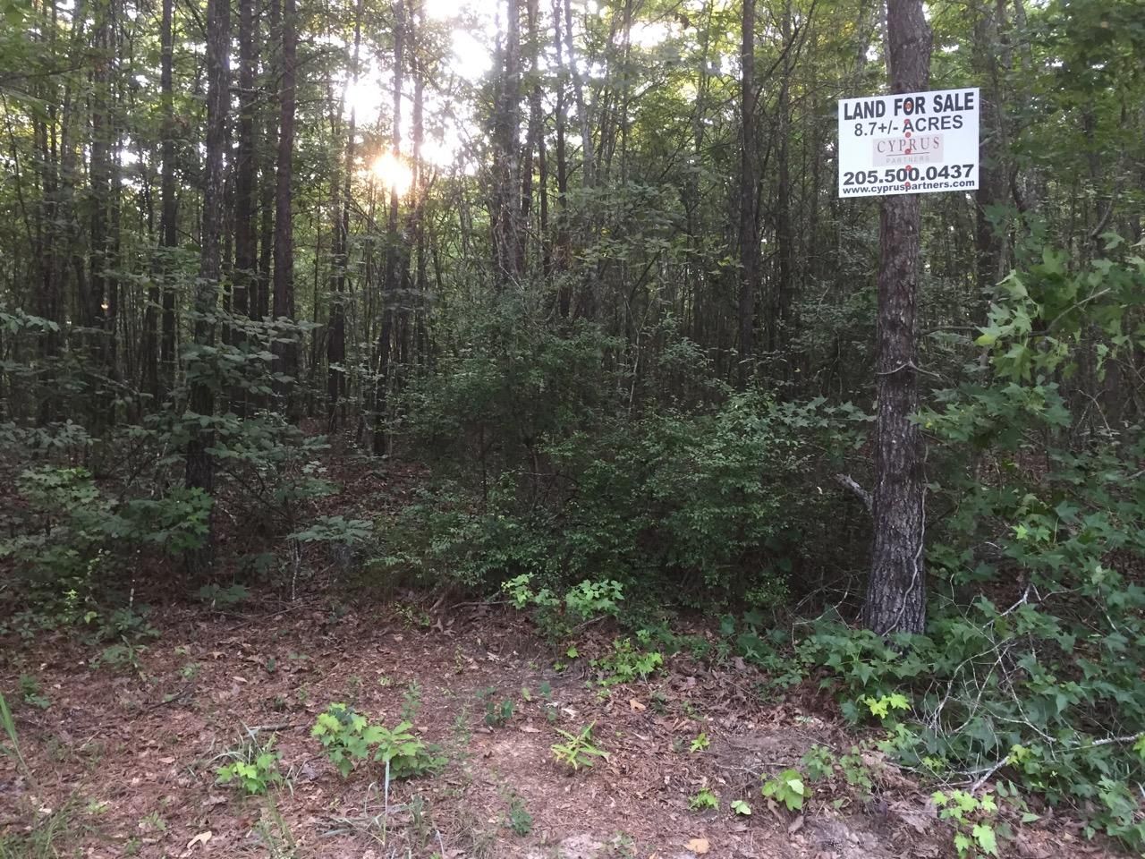 Montevallo, Shelby County, AL Recreational Property, Undeveloped Land for sale Property ID