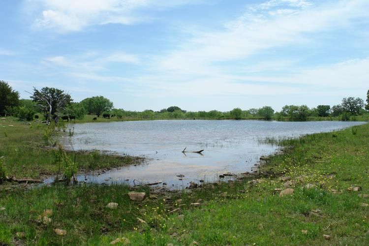 Goldthwaite, Mills County, TX Farms and Ranches for sale Property ID