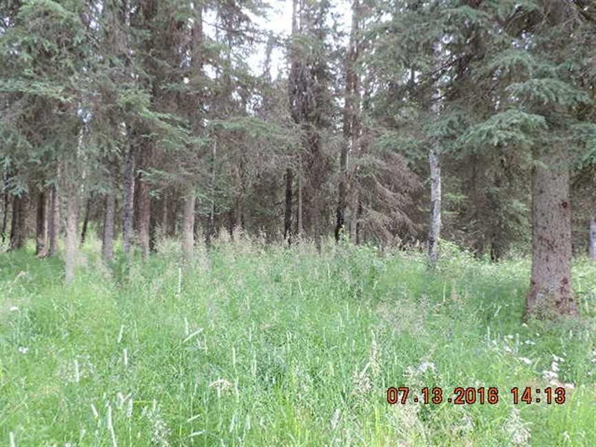 Soldotna, Kenai Peninsula Borough, AK Recreational Property, Riverfront