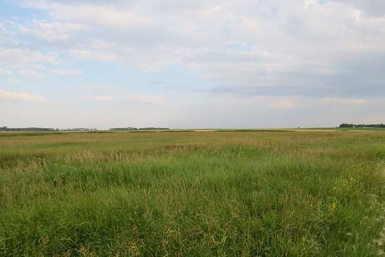 Mott, Hettinger County, ND Farms and Ranches, Hunting Property for sale