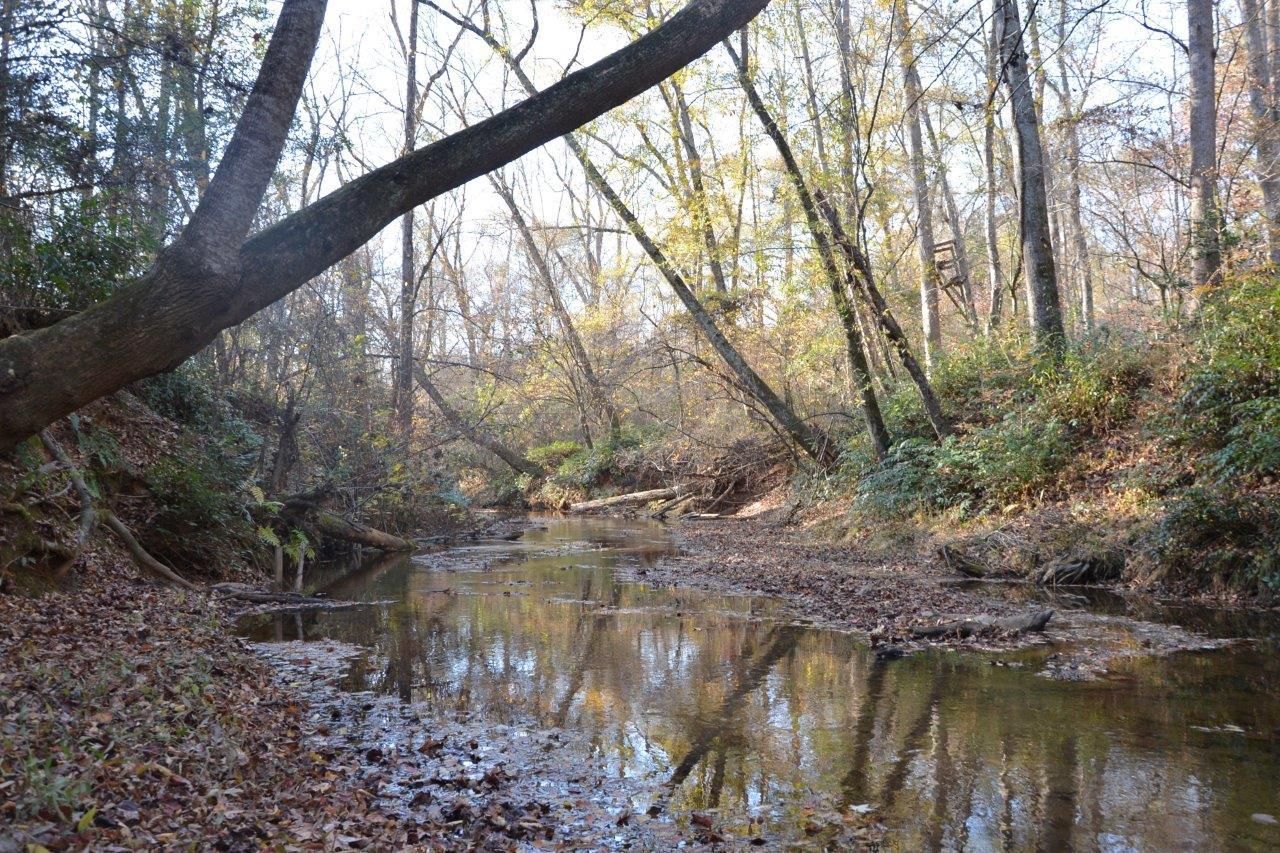 Bowman, Elbert County, GA Recreational Property, Undeveloped Land for