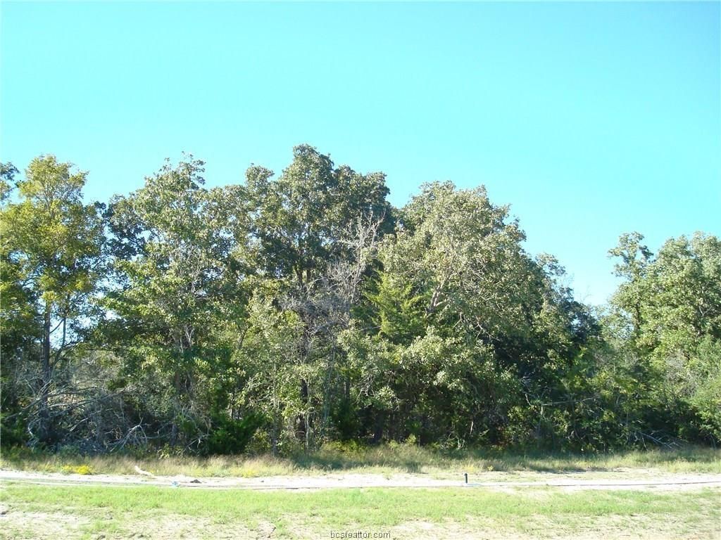 Bryan, Brazos County, TX Farms and Ranches, Homesites for sale Property