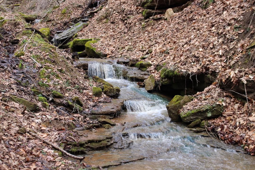 Sardis, Monroe County, OH Recreational Property, Timberland Property, Hunting Property for sale