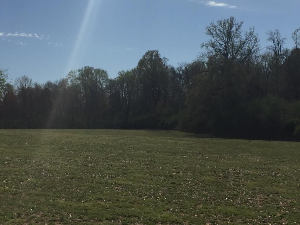 Albemarle, Stanly County, NC Farms and Ranches, Undeveloped Land for