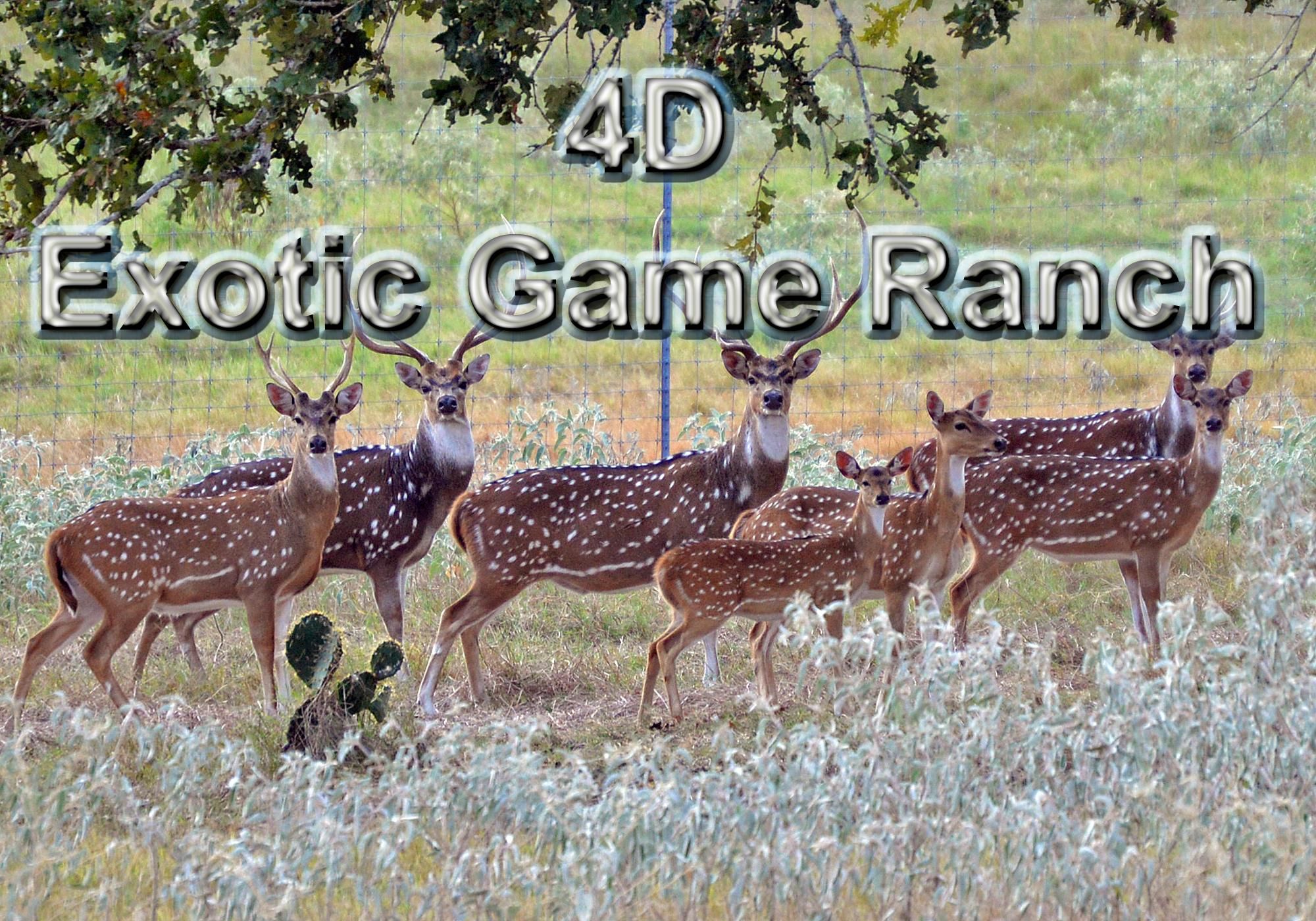 Junction, Kimble County, TX Farms and Ranches, House for sale Property