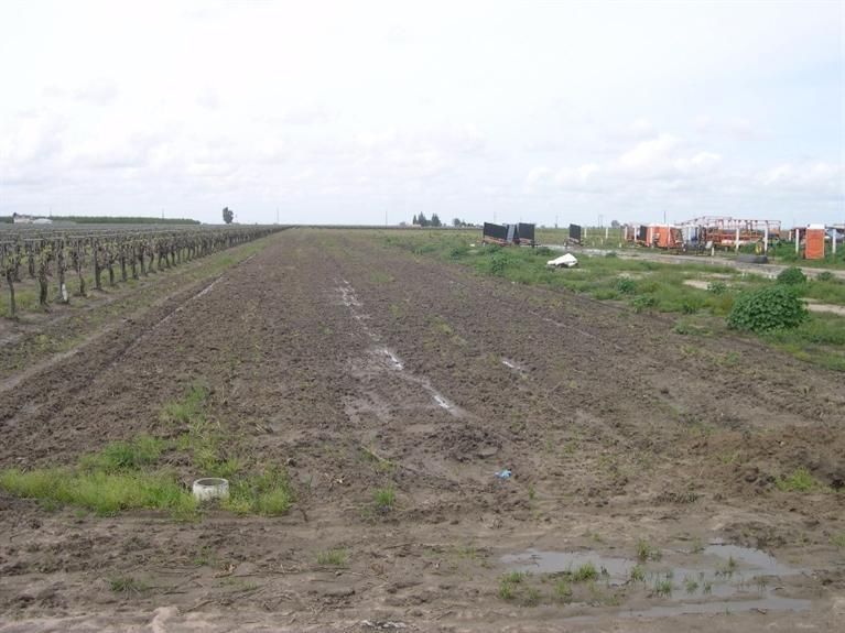 Madera, Madera County, CA Farms and Ranches for sale Property ID