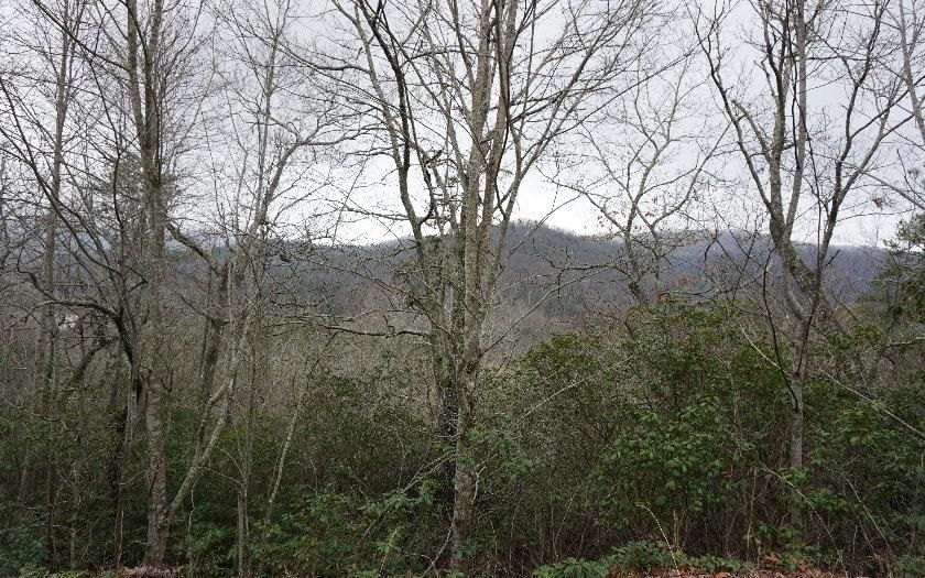 Hiawassee, Towns County, GA Homesites for sale Property ID 402446604