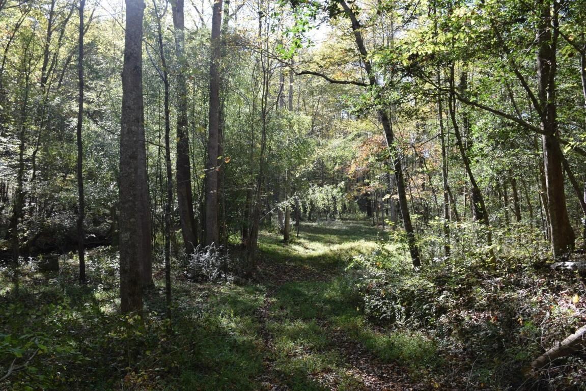 Oakdale, County, TN Farms and Ranches for sale Property ID