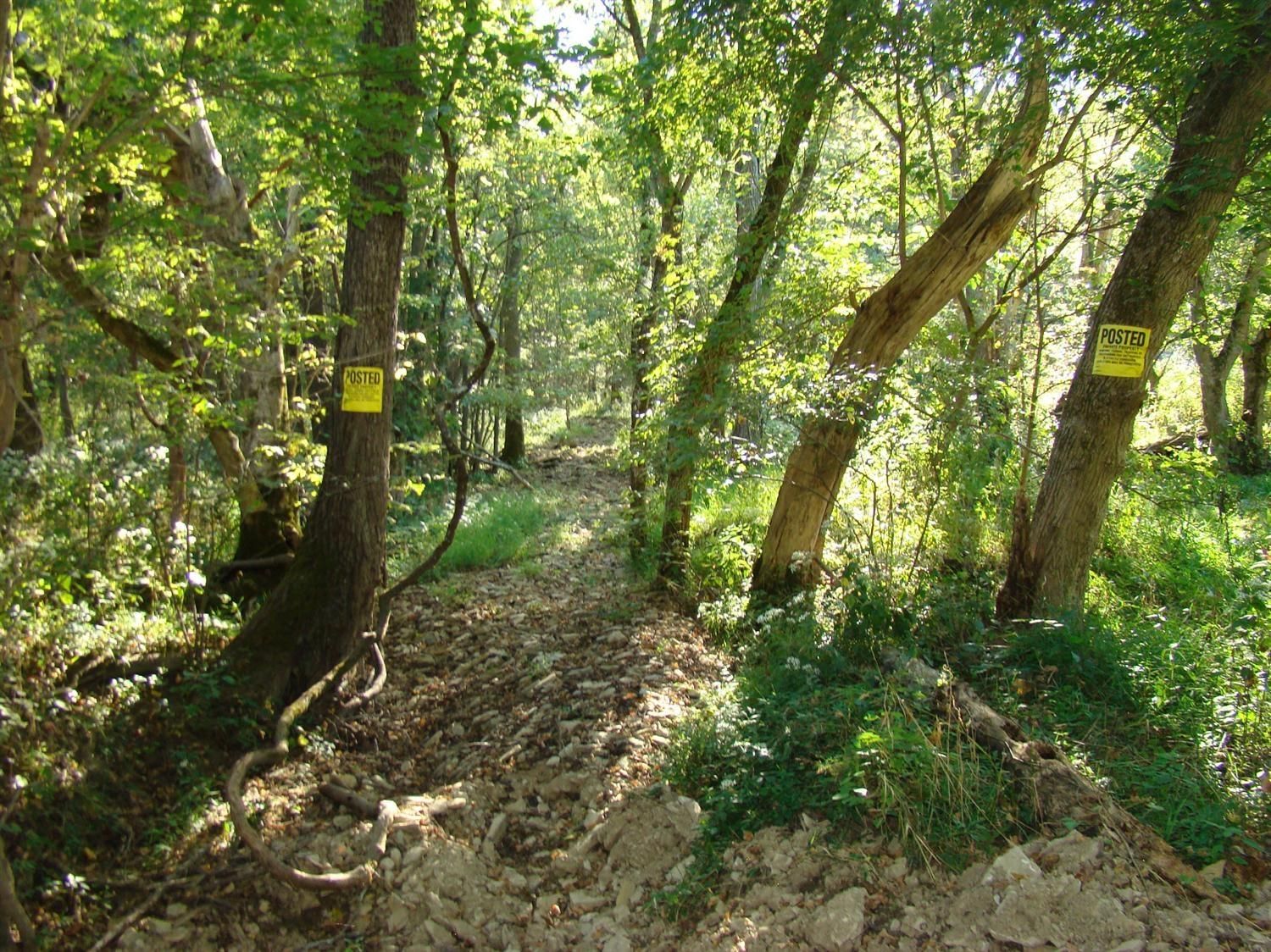 Verona, Boone County, KY Farms and Ranches for sale Property ID 402252543 LandWatch