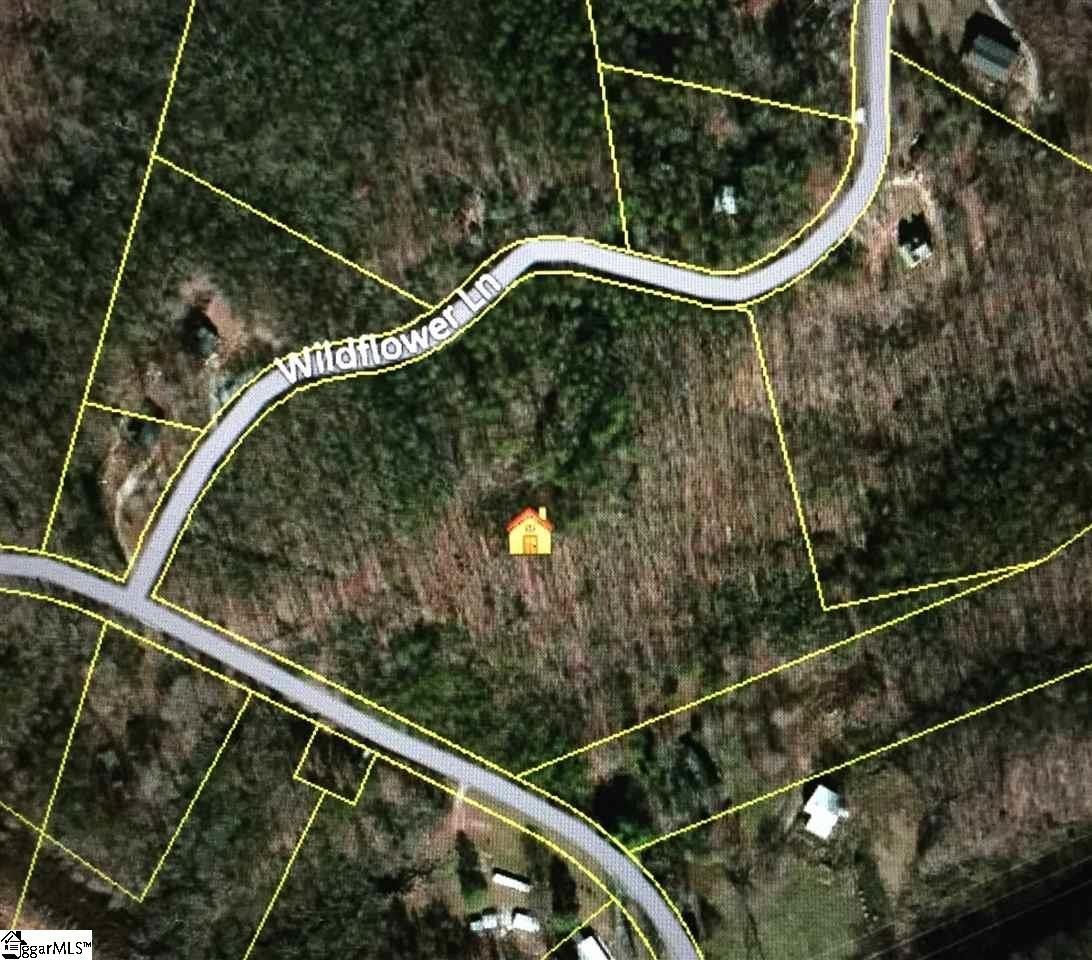 Tigerville, Greenville County, SC Farms and Ranches for sale Property