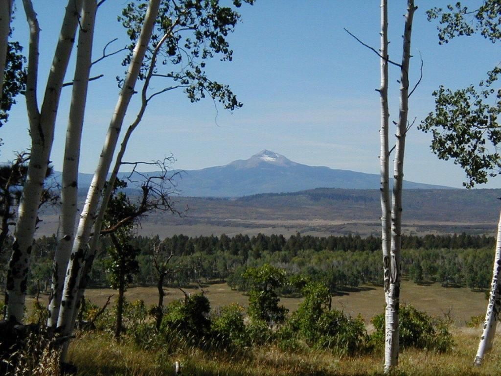 Placerville, San Miguel County, CO Farms and Ranches for sale Property