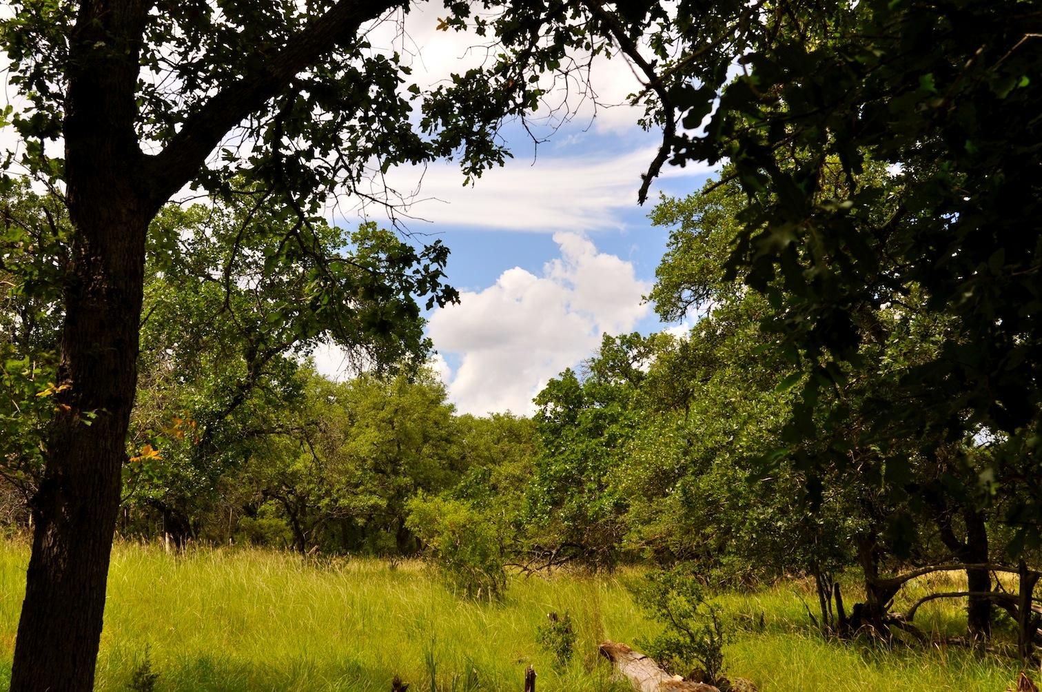 Tarpley, Bandera County, TX Farms and Ranches for sale Property ID