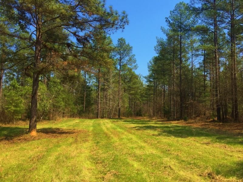 Lexington, Oglethorpe County, GA Recreational Property, Timberland