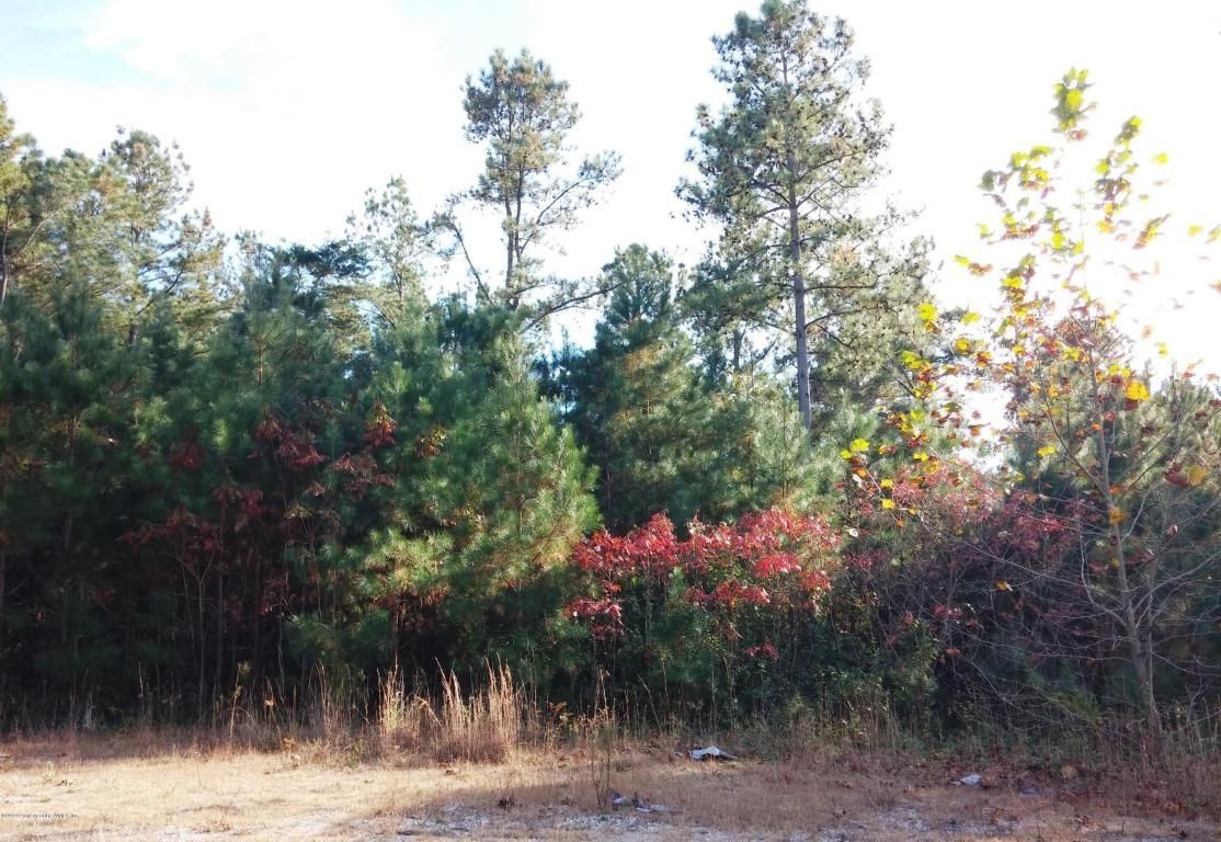 Barhamsville, New Kent County, VA Farms and Ranches, House for sale