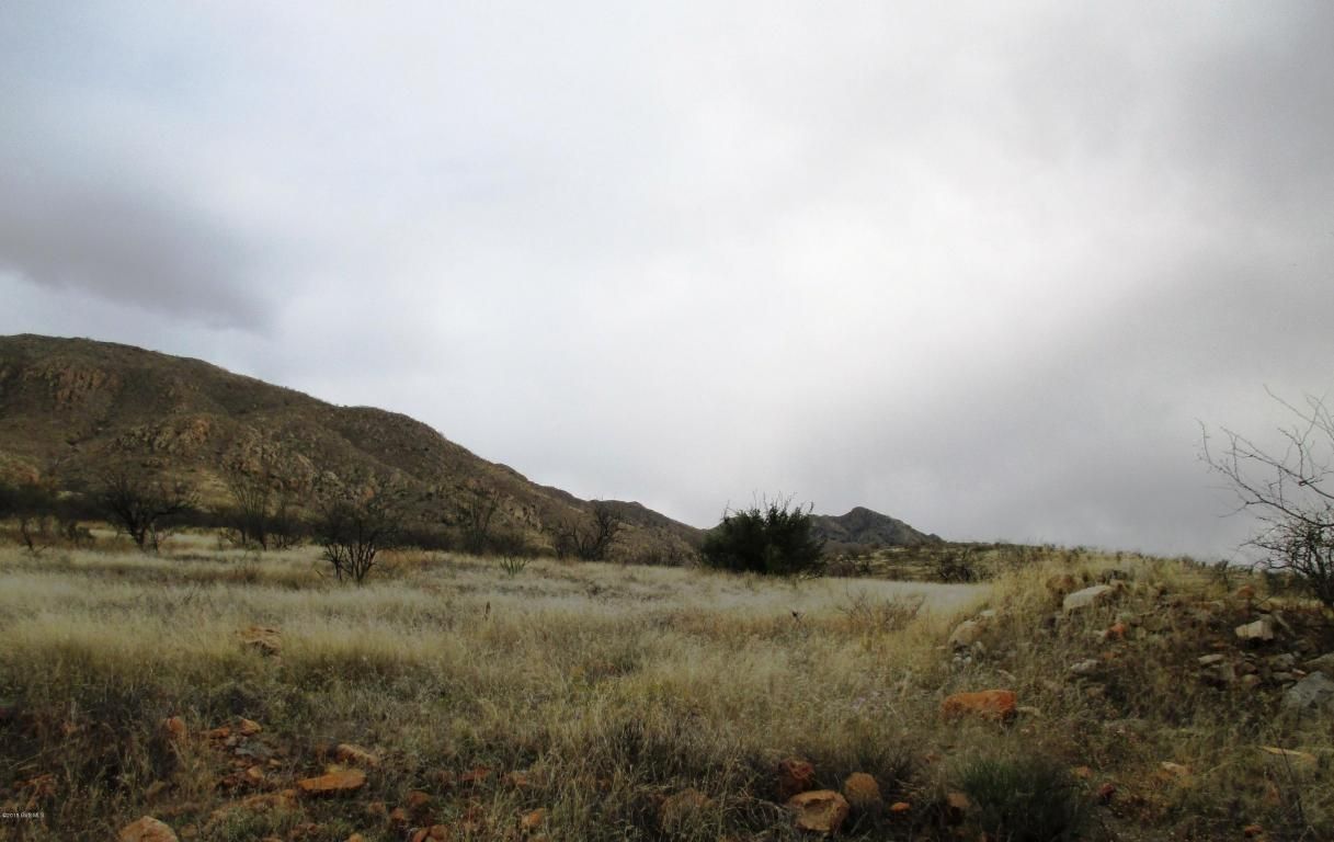 Rio Rico, Santa Cruz County, AZ Farms and Ranches, Homesites for sale