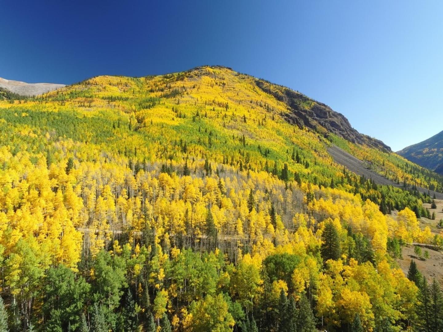 Lake City, Hinsdale County, CO Recreational Property, Timberland