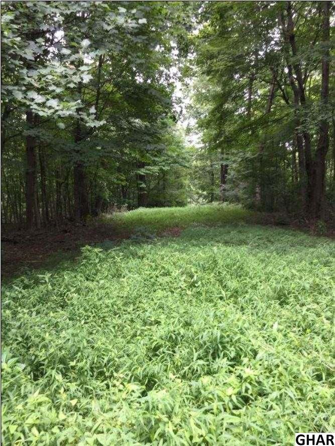 Lebanon, Lebanon County, PA Farms and Ranches, Homesites for sale