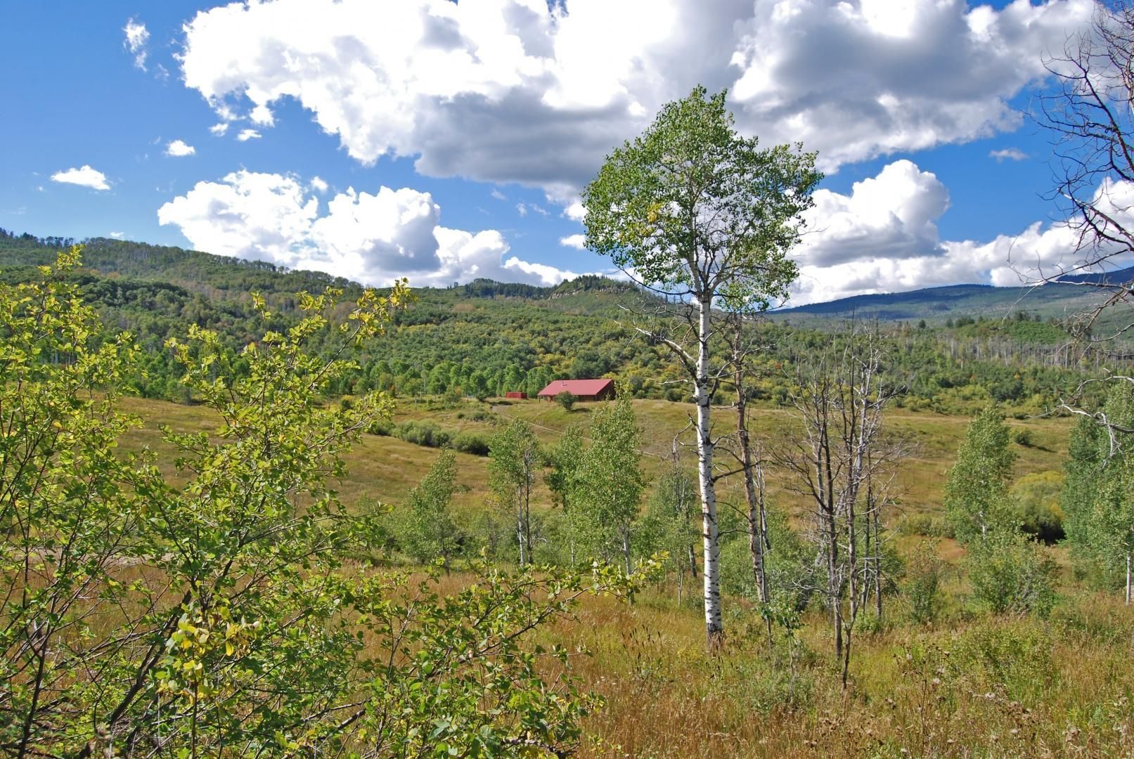 Paonia, Delta County, CO Farms and Ranches, Recreational Property