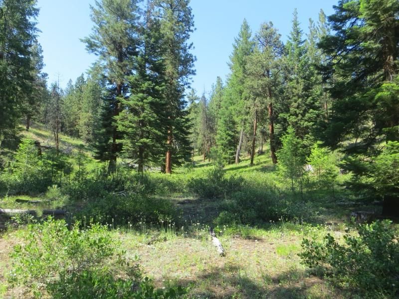Mount Vernon, Grant County, OR Recreational Property, Undeveloped Land