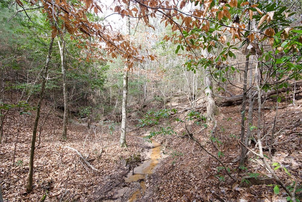 Colmesneil, Tyler County, TX Farms and Ranches for sale Property ID