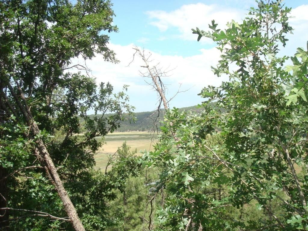 Stoneman Lake, Coconino County, AZ Farms and Ranches, Homesites for