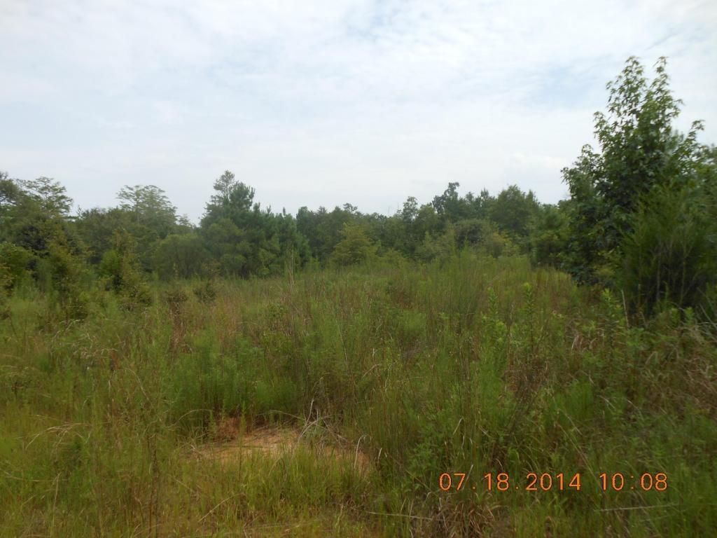 Ponce De Leon, Holmes County, FL Farms and Ranches, House for sale