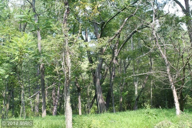 Clearville, Bedford County, PA Farms and Ranches for sale Property ID