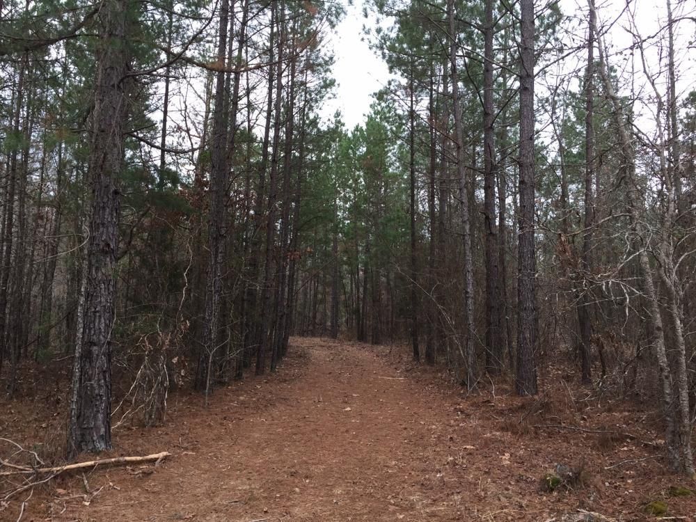Jessieville, Garland County, AR Timberland Property, Undeveloped Land
