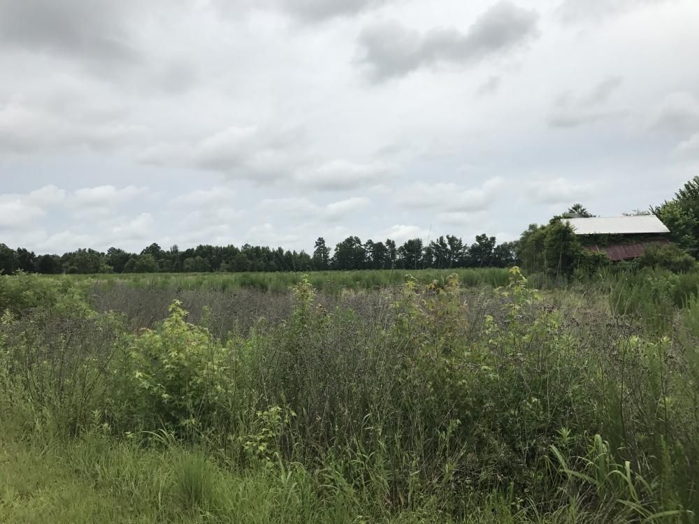 284 Covington Road, Kingstree, SC 29556 LandWatch