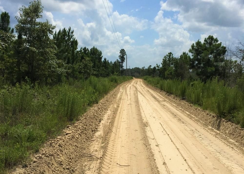 Barnwell, Barnwell County, SC Recreational Property, Timberland