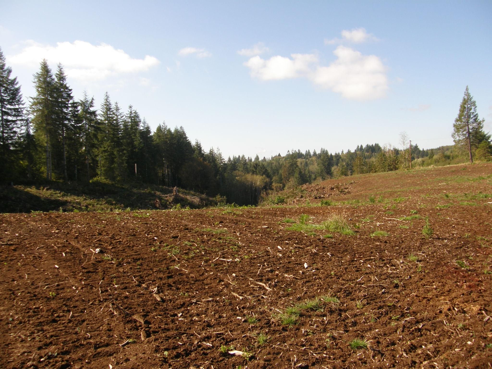 Elma, Grays Harbor County, WA Farms and Ranches for sale Property ID