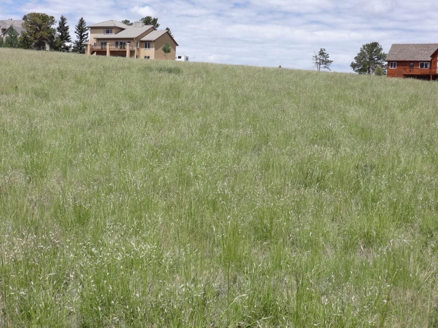 Divide, Teller County, CO Farms and Ranches, Homesites for sale