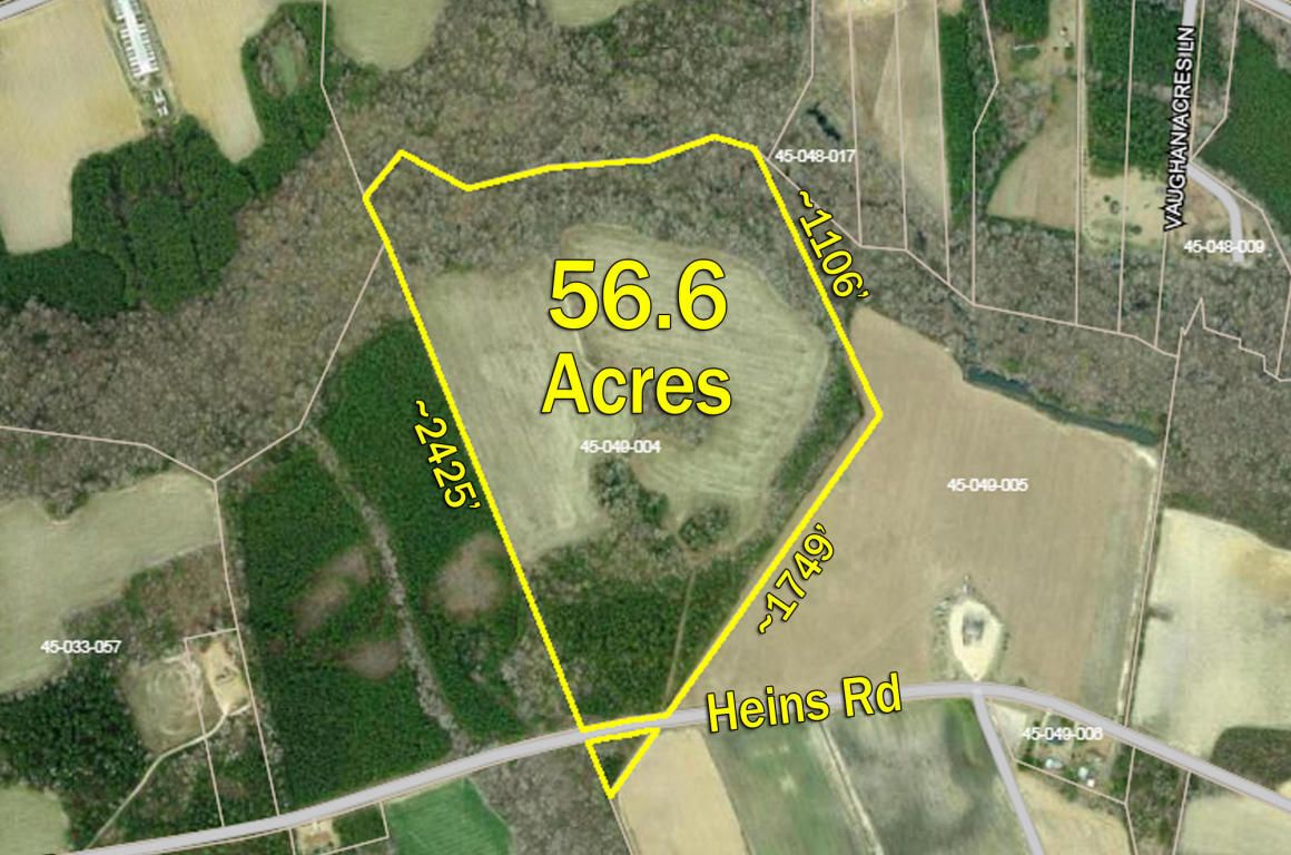 Greeleyville, Williamsburg County, SC Undeveloped Land for sale