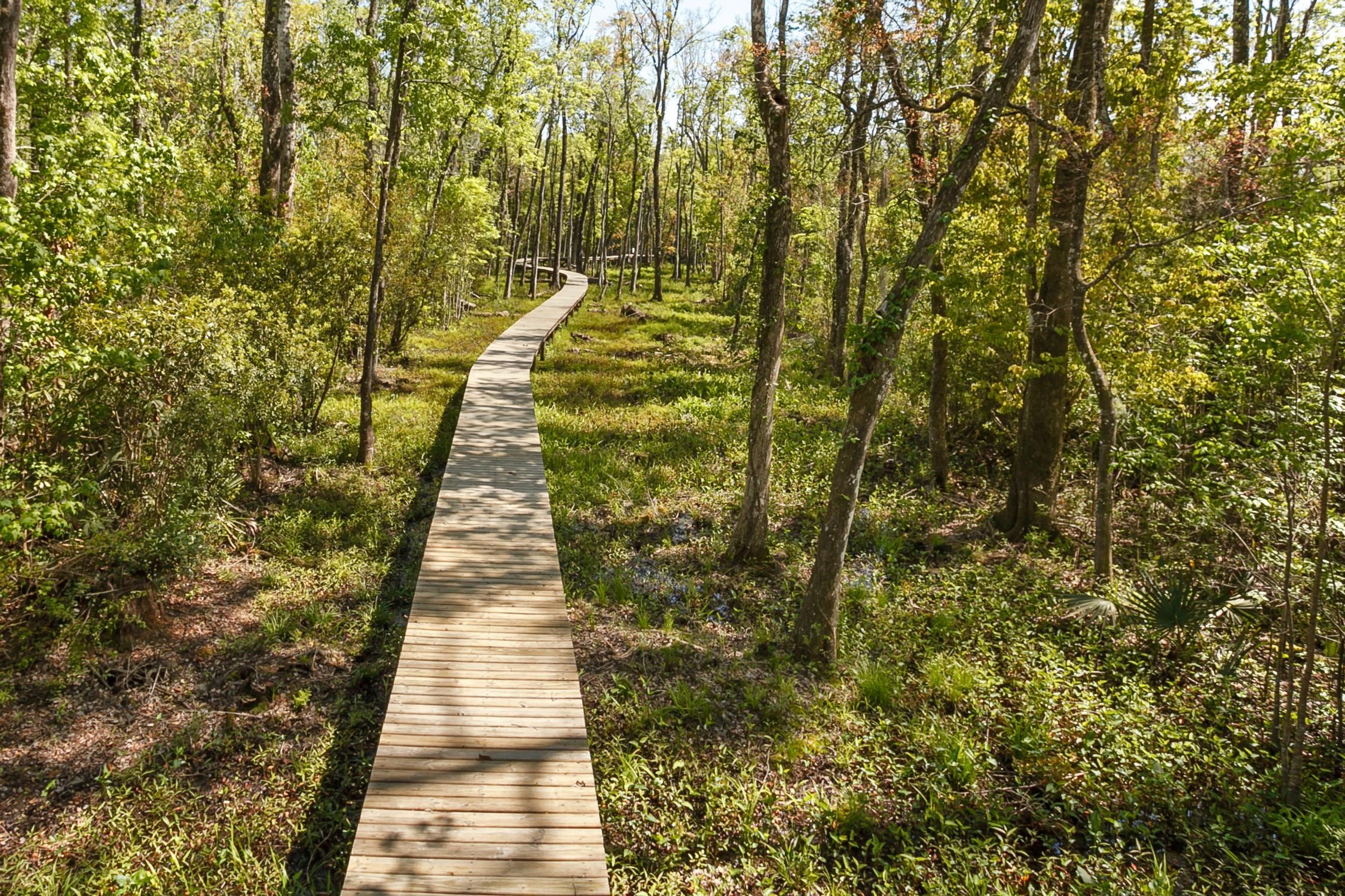 Green Cove Springs, Clay County, FL Recreational Property, Riverfront