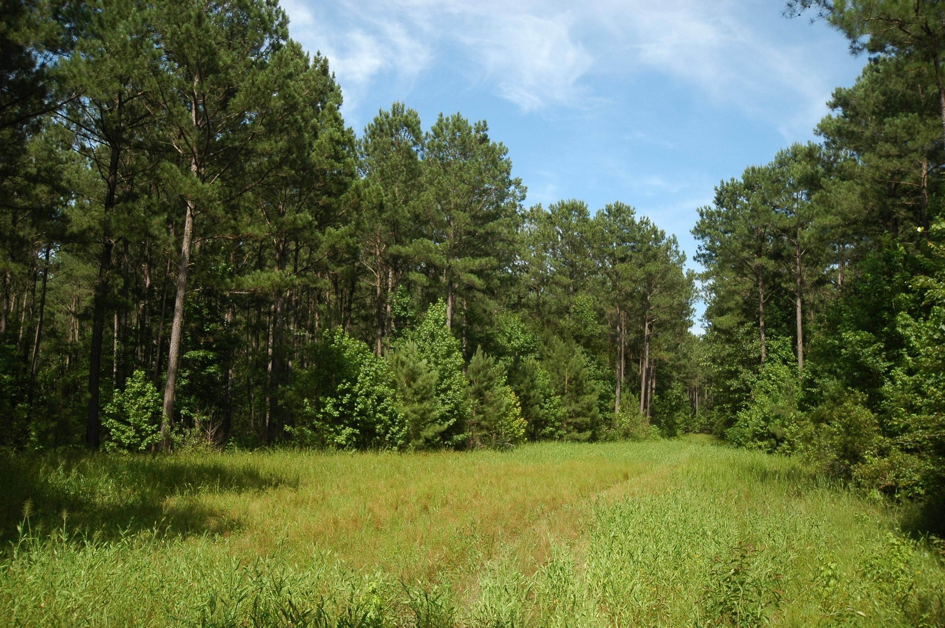 Aliceville, Pickens County, AL Farms and Ranches for sale Property ID