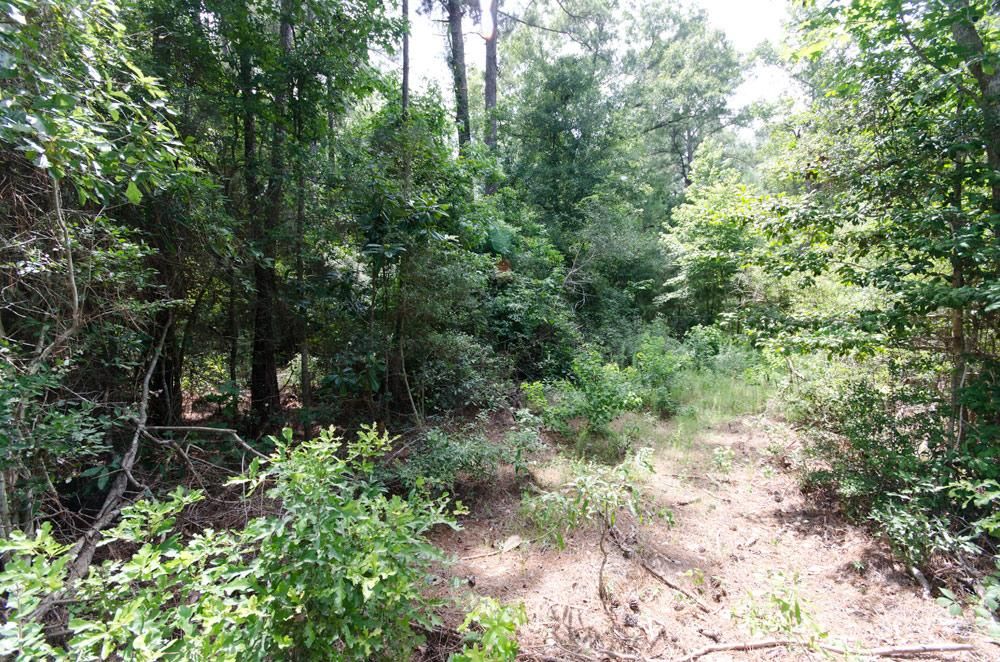 Fred, Tyler County, TX Farms and Ranches for sale Property ID