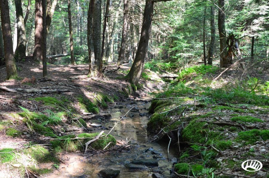 Mill Creek Road, Strattanville, PA 16258 LandWatch