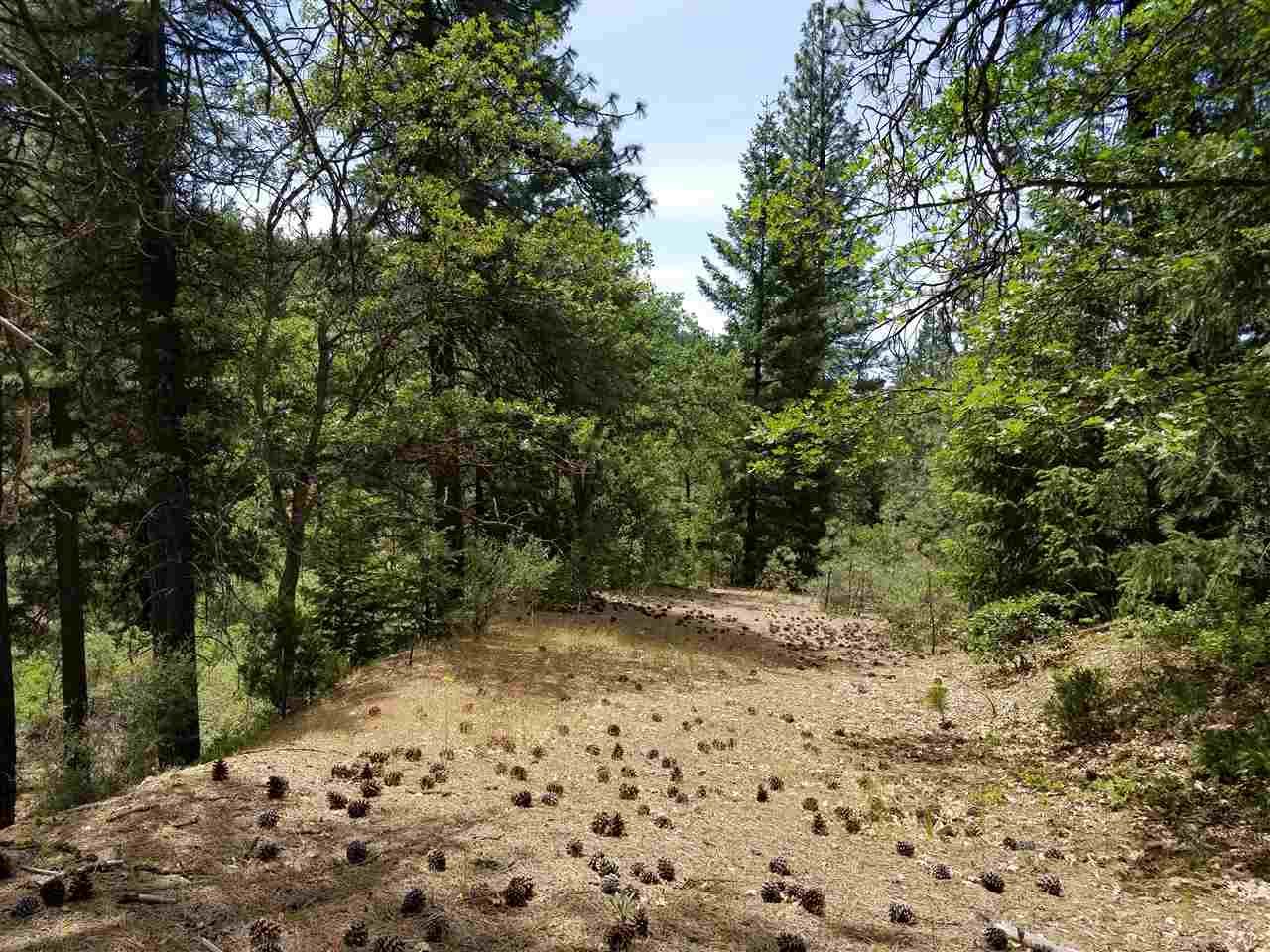 Yreka, Siskiyou County, CA Undeveloped Land for sale Property ID
