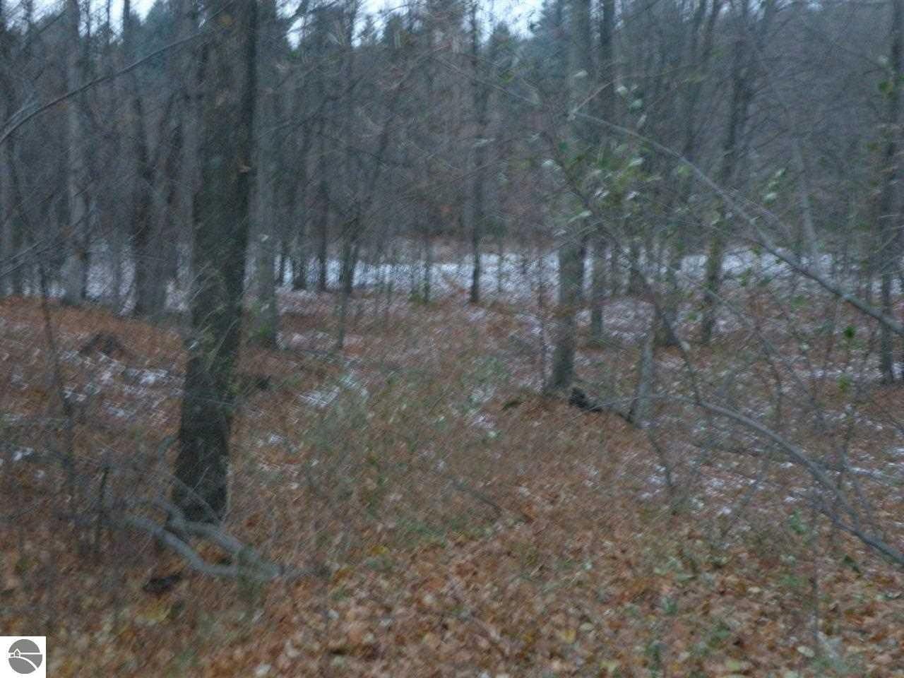 Bear Lake, Manistee County, MI Farms and Ranches, Homesites for sale