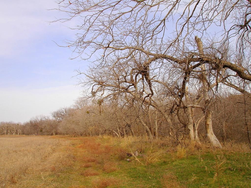 Byers, Clay County, TX Farms and Ranches for sale Property ID
