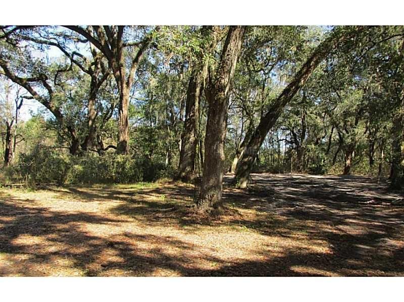 Bushnell, Sumter County, FL Farms and Ranches, Homesites for sale