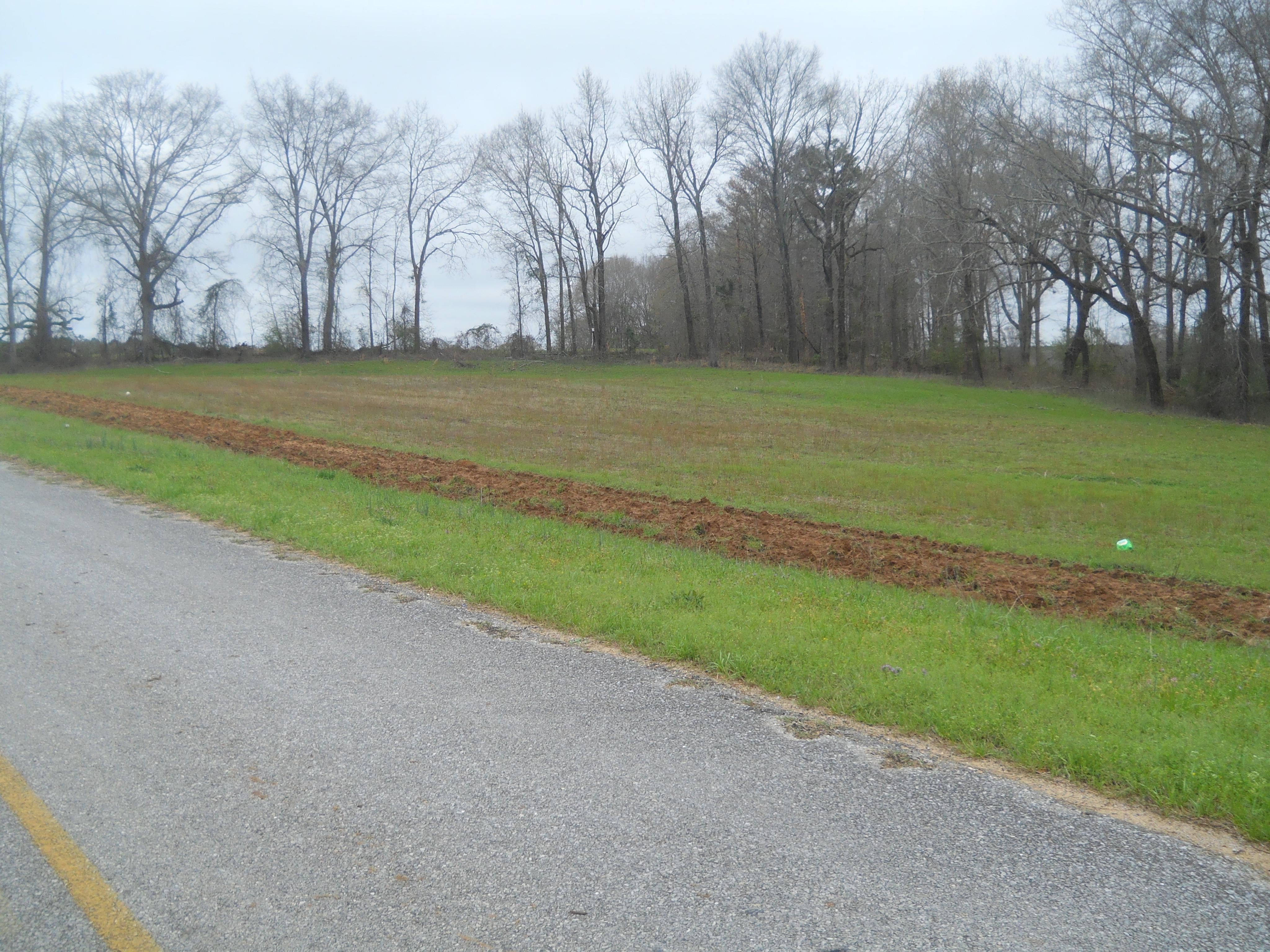 county rd. 17, Louisville, AL 36048 LandWatch
