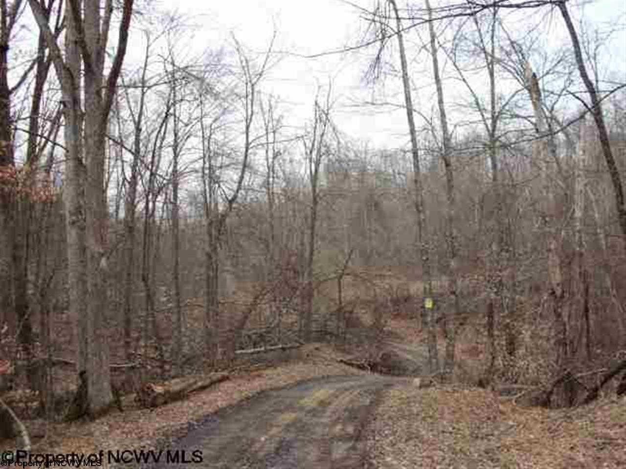 Elkins, Randolph County, WV Farms and Ranches for sale Property ID